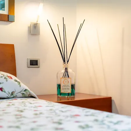 绿色月亮酒店 3* 马里纳-迪-皮特拉桑塔
